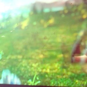 My boss natural instinct which is way better